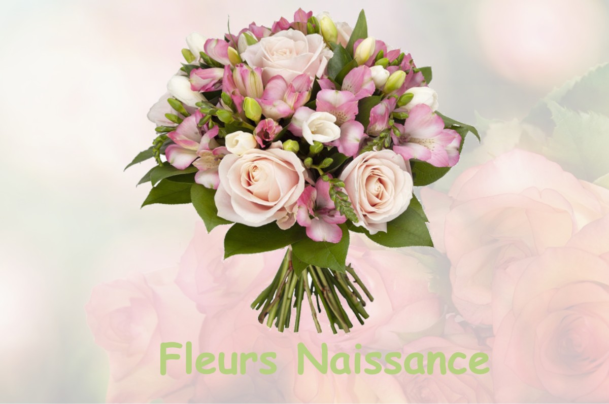 fleurs naissance BLANZAC-PORCHERESSE